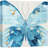 Blue Butterfly-102480441-102480443