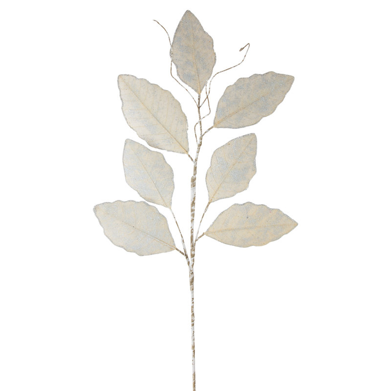 Vaporisateur feuille de Magnolia