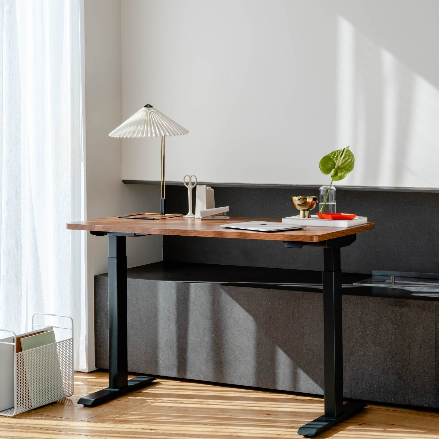 Duo Standing Desk, 47.3" H x 36" W x 24" D, Charcoal, Walnut