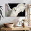 Hibou blanc Brampt-107685925