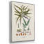 " Botanical Society Ferns VI " 3 - Pieces-91891203-91891209