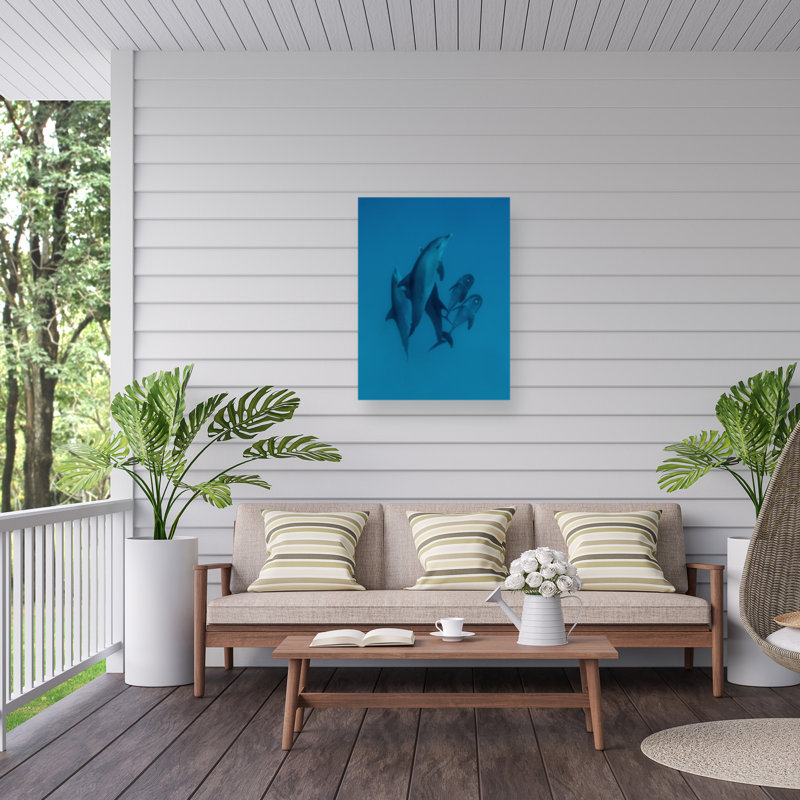 «Dolphins bolognais 6», reproduction sur toile, H 24 po x l 18 po