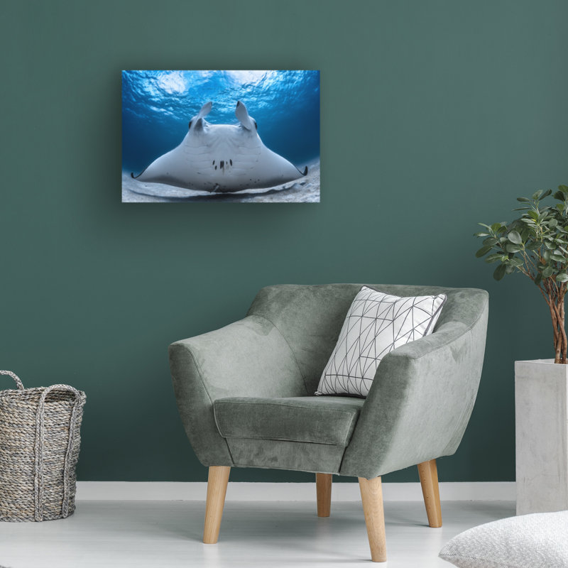 Art sur toile Barathieu Gabriel Take Off Manta, H 12 po x l 19 po