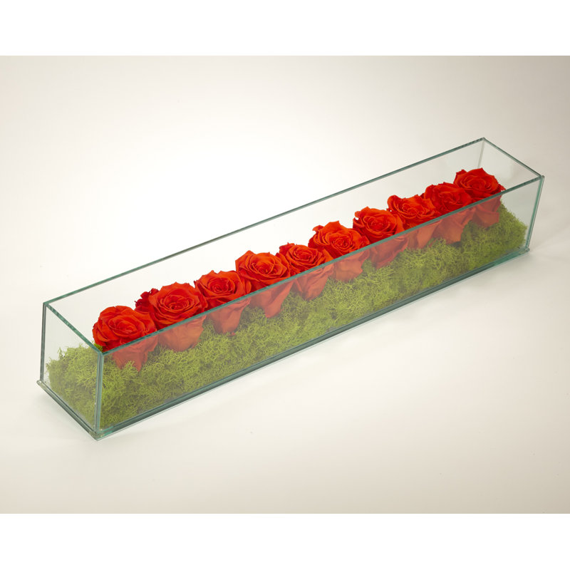 Preserved Roses in Rectangular Glass Box, Orange