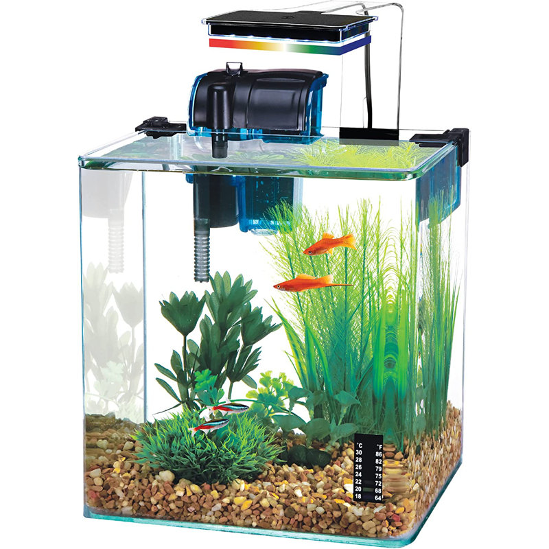 5 Gallon Rectangular Glass Desktop Aquarium Kit with LED Light