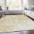 Lamanna Washable Oriental Indoor / Outdoor Rug-95455147