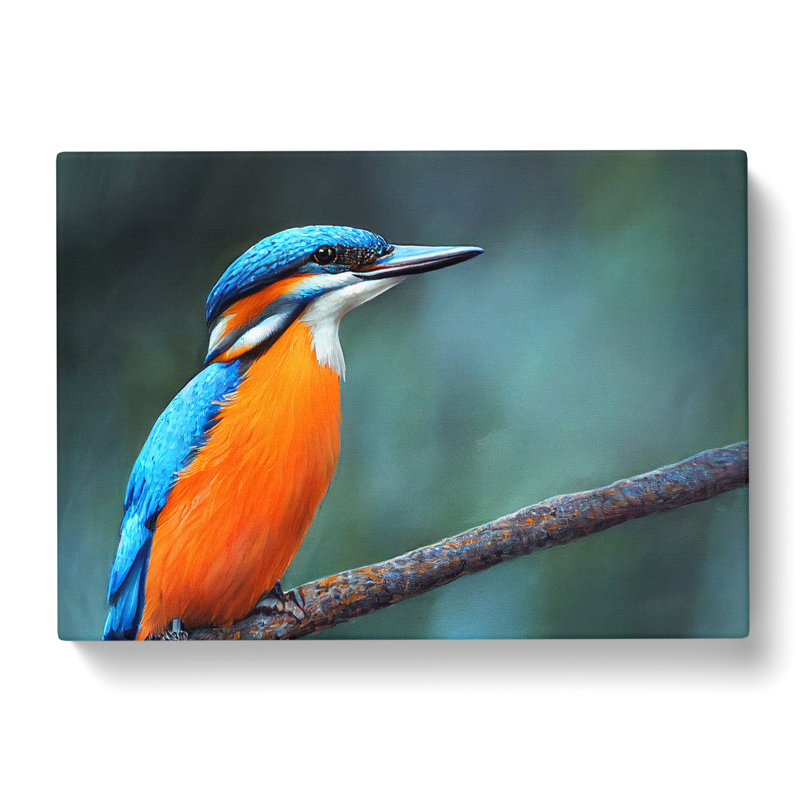 Welcoming Kingfisher Bird - Wrapped Canvas, 40cm H x 60cm W x 3cm D
