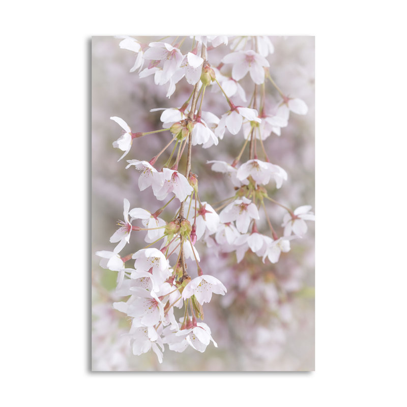 « mou cerises fleurs », reproduction de photo, H 36 po x l 24 po x P 0,01 po, Papier