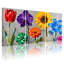 Plantes et fleurs, fleurs colorées sur fond gris avec ensemble de 3 impressions sur toile-1080846769