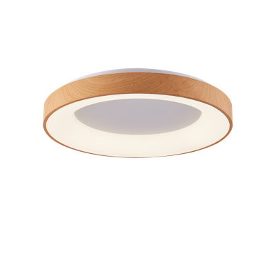 LED Flush Mount