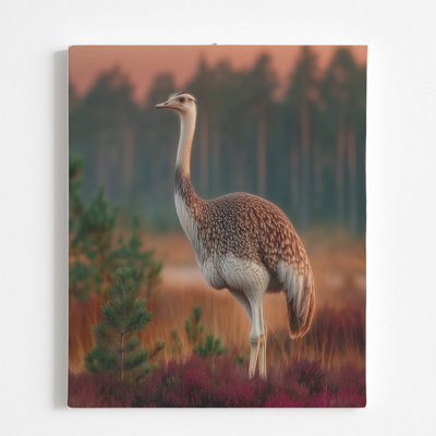 Ostrich Canvas Wall Art Decor By DC- Framed Wall Art Prints | Canvas Pictures For Living, Bedroom, Office- Animal Wall Canvas Aesthetic Home Decor Photo Poster- | 16X20