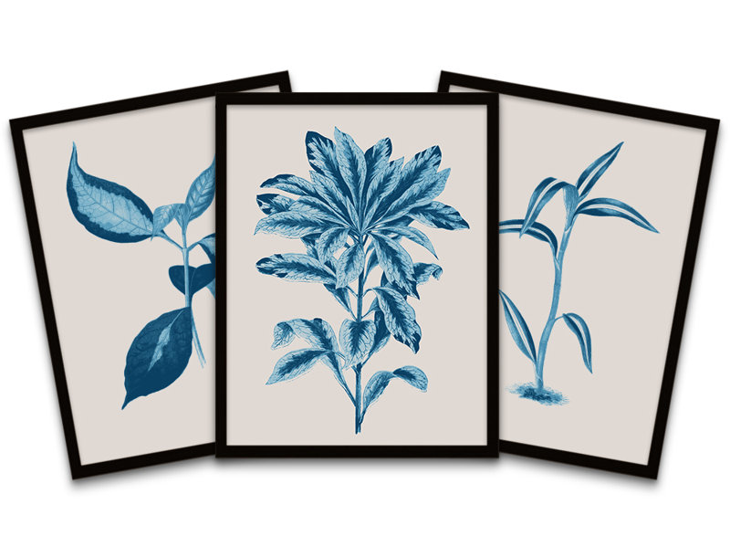 Botanics Leaves Ferns - 3 Piece Print Set