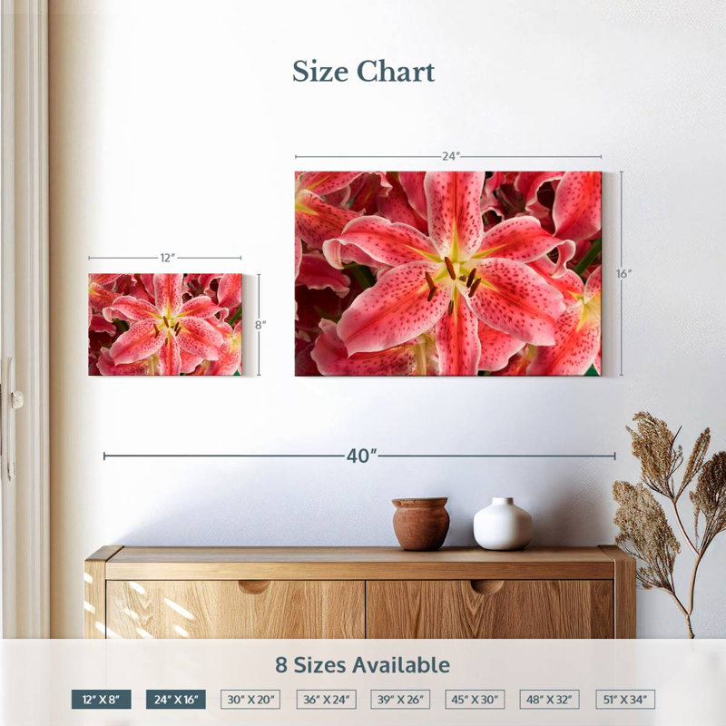 Fleurs de lys Harnek Stargazer, H 16 po x l 24 po