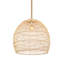 Luminaire suspendu en forme de dôme à 1 lumière avec détails en corde Enloe-1888613266