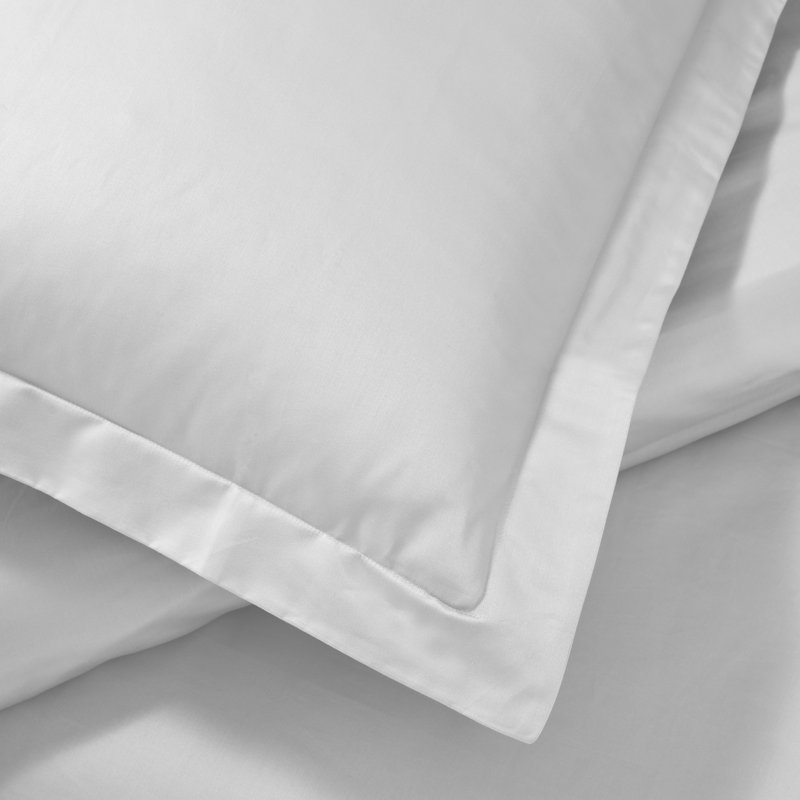 Mellark 1200 Thread Count Egyptian Cotton Solid Duvet Cover Set, Full/Queen Duvet Cover + 2 Standard Shams, Platinum