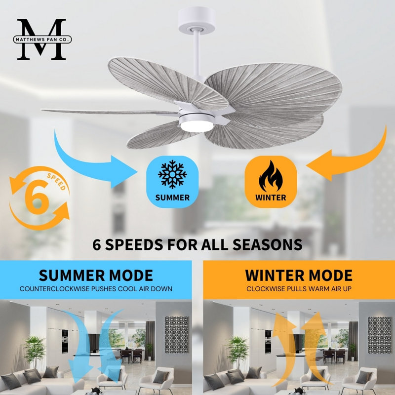 Alessandra Tropical - Five Blade Ceiling Fan - Integrated LED -Matte Black Finish -Light Blue Blades, Barn Wood Tone