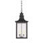 Lanterne suspendue d'extérieur à 4 ampoules H 29,5 po Deshawn-1276935386