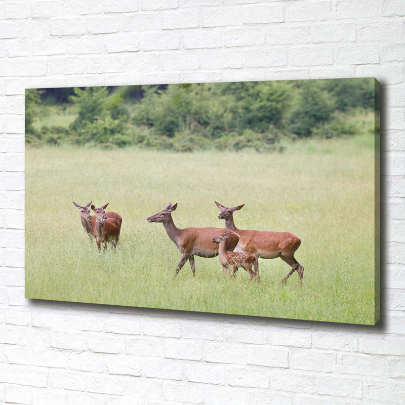Roe With Young - No Frame Print on Canvas