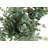Mcclain 12.5'' Faux Eucalyptus Plant in Cement Pot-528315747