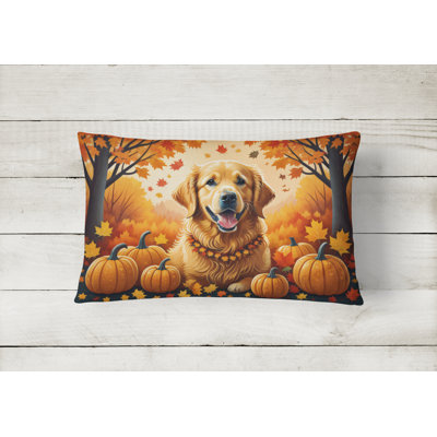 Other/No Pattern Outdoor Throw Pillow
