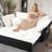 Convertible Sleeper Sofa With Side Storage