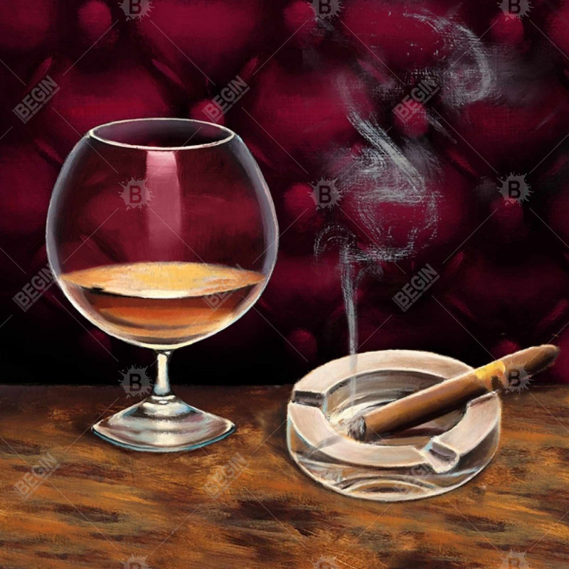 Alcohol and cigar - 18"x18" Throw pillow cover - Poly twill - Print on demand