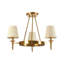 Bahamas 3 - Light Shaded Chandelier