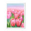Field of Pink Tulips - Photographie de cadre photo sur toile-59539712-59539714