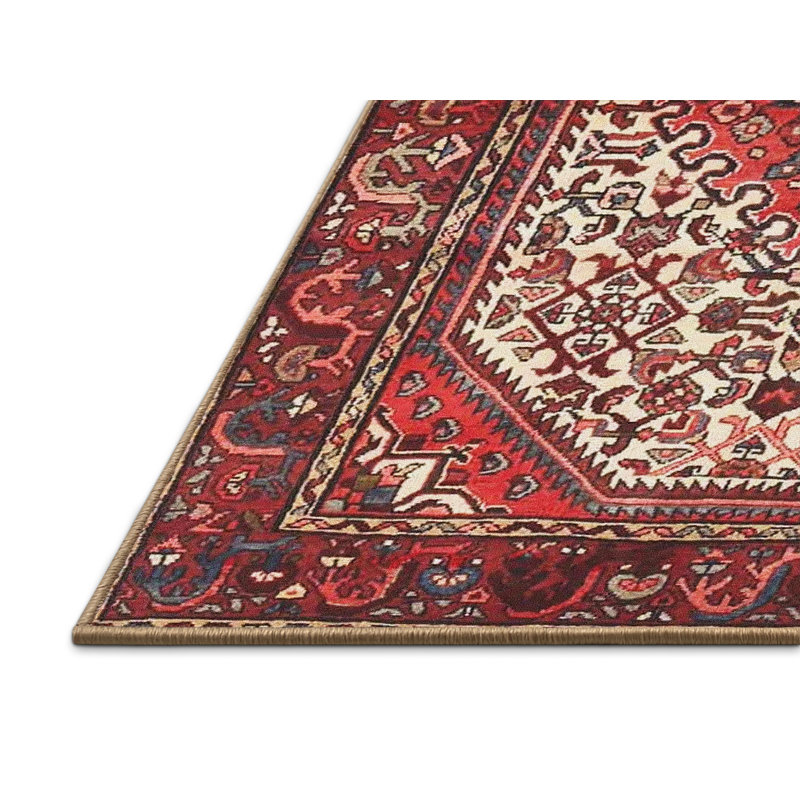 Cassidee Oriental Indoor Rug, Rectangle 5' x 7'