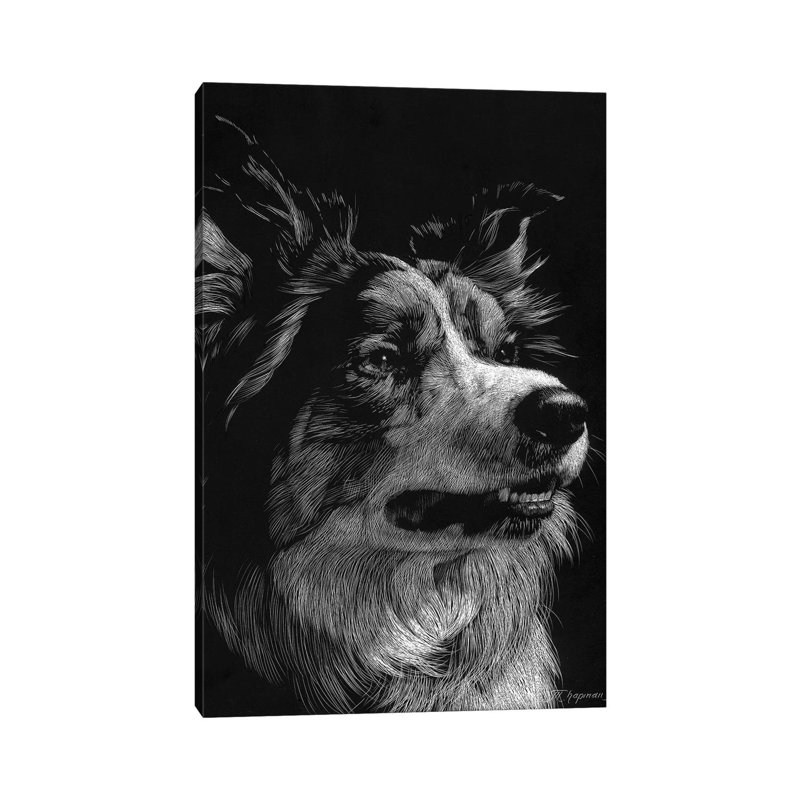 Canine Scratchboard IV by Julie T. Chapman - Wrapped Canvas Print, 20.32 cm H x 30.48 cm W