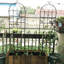 71 treillis de jardin en métal 71 po x 19,7 po, support pour plantes d'extérieur rouille, noir, assemblage simple, treillis galvanisé en tube 4 antirouille, facile à installer, matériau robuste