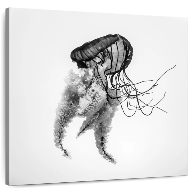 Brampt Monochrome Jellyfish, 16" H x 16" W