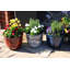 Kingsfield Pot Planter-38455293