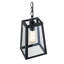 Luminaire suspendu rectangulaire à 1 lumière Souza