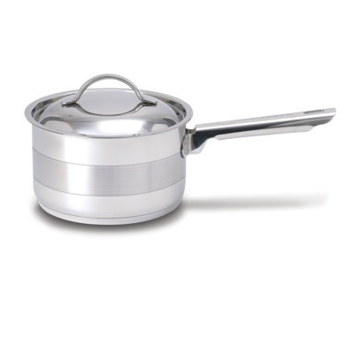 Gourmet Stainless Steel Saucepan