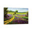 Purple Flowers Field by Valery Rybakow - Painting on Canvas-63929430-63929421