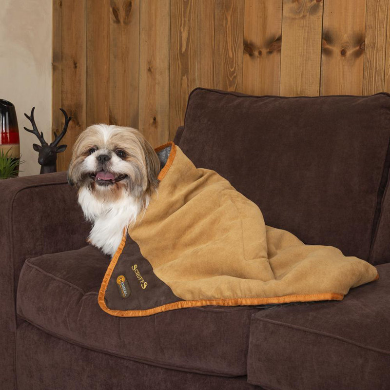 Polyester Pet Bed, Brown