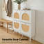 16 Pair Shoe Storage Cabinet-938581793