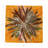 Pheasant Feathers Cotton Sateen Cocktail Napkins-122066304