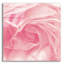 «Georgia Pink» par Keri Bevan-1613435566