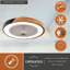 Ventilateur de plafond encastré intérieur mat noir de 20 po avec pales transparentes Apodaca