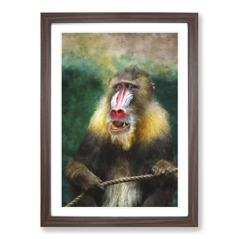Mandrill Baboon Monkey - Picture Frame Painting, Walnut Framed, 48cm H x 36cm W x 2cm D