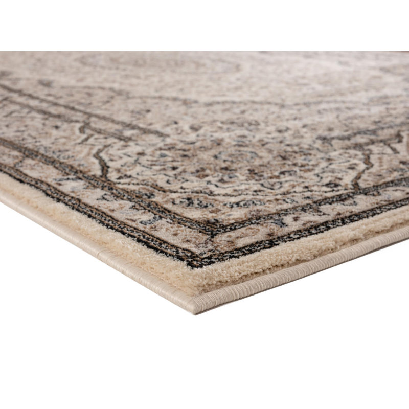 LaRena Oriental Indoor Rug, Rectangle 5'2" x 7'5"