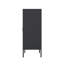Armoire d'appoint en métal 32 po Naomi-953145045