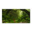 50cm W x 100cm L Glass Peel and Stick Panel