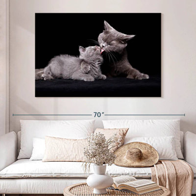 Chat, amour de la mère