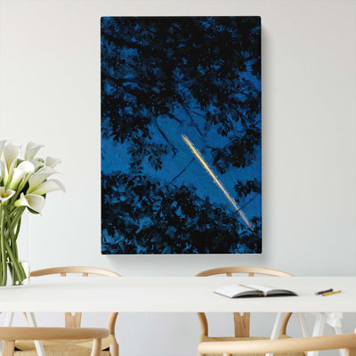 Airplane Through the Trees - Wrapped Canvas