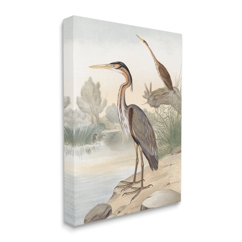 " Wild Heron Birds Perched Scenic Grassy Creek " by Piddix Painting Print, Wrapped Canvas, 20" H x 16" W x 1.5" D