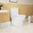 One Toilet, 1.1/1.6 , Elongated Comfort Height, Floor Mounted, Ceramic, White, Soft Close Seat, & Ceramic