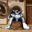  Tapis lavable Husky de Sibérie-880926068